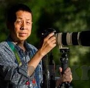 麻豆传媒免费视频网站-揭秘免费视频平台的隐秘角落——麻豆传媒的冷峻现实
